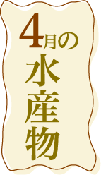 4月の水産物