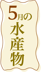 05月の水産物