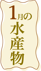 1月の水産物