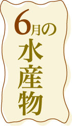 6月の水産物