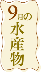 9月の水産物