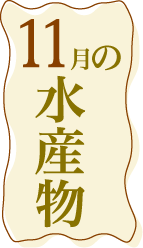 11月の水産物